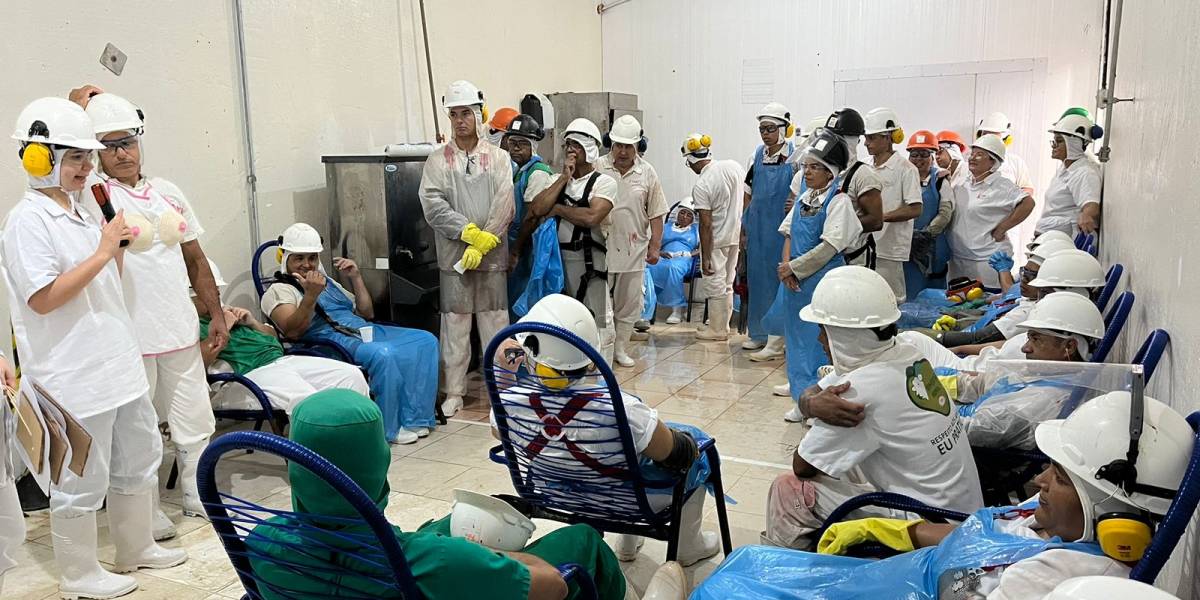 WhatsApp Image 2024-10-22 at 08.10.02 (1).jpeg